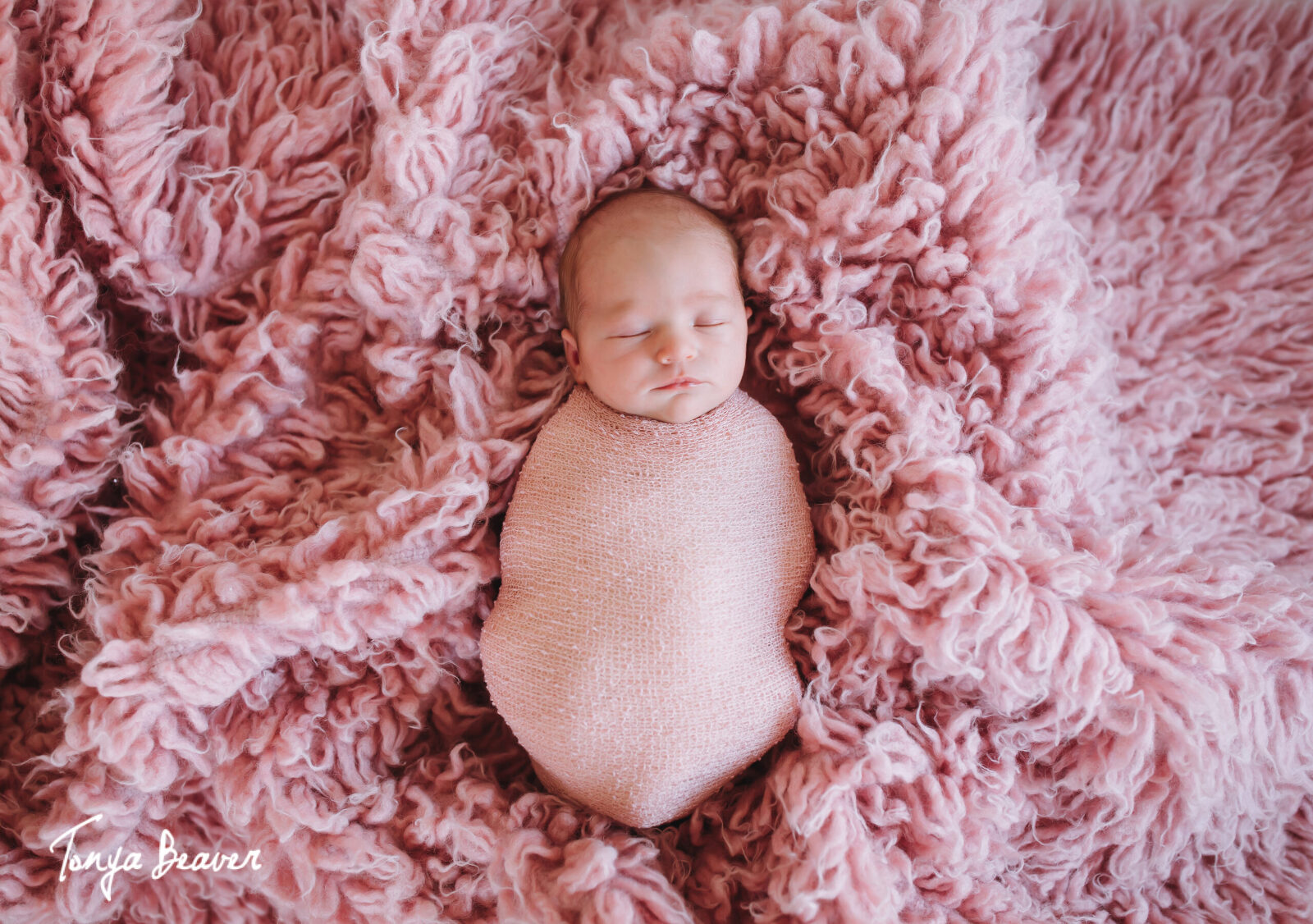 Jacksonville Newborn Photography by Tonya Beaver Photography