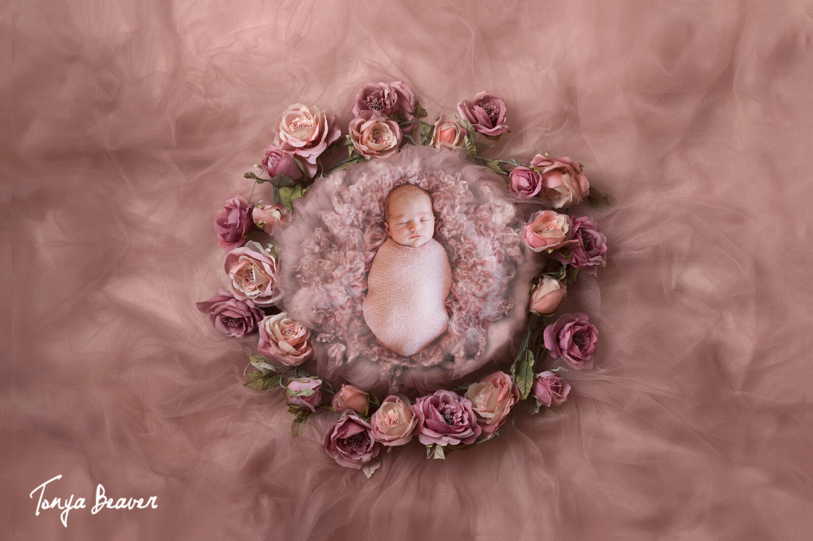 Jacksonville Newborn Photography by Tonya Beaver Photography