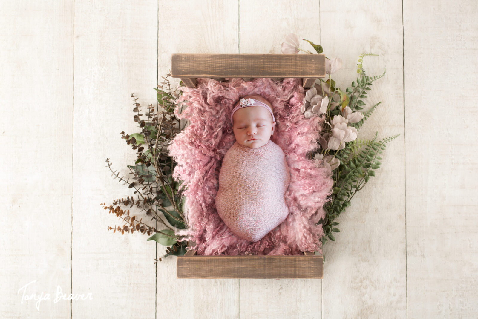 Jacksonville Newborn Photography by Tonya Beaver Photography