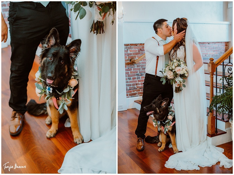 WHITE ROOM WEDDING PHOTOS;  ST AUGUSTINE WEDDING PHOTOS; WHITE ROOM WEDDING PHOTOGRAPHY;  ST AUGUSTINE WEDDING PHOTOGRAPHY; WHITE ROOM WEDDING PHOTOGRAPHER;  ST AUGUSTINE WEDDING PHOTOGRAPHER;  WHITE ROOM WEDDING PICTURES; ST AUGUSTINE WEDDING PICTURES; TONYA BEAVER PHOTOGRAPHY; 