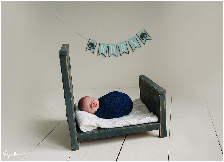 Jacksonville Newborn Photography by Tonya Beaver Photography