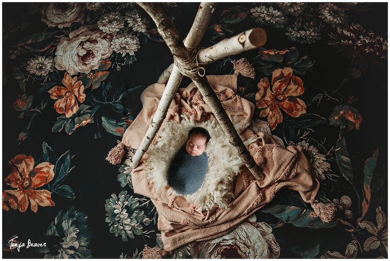 Jacksonville Newborn Photography by Tonya Beaver Photography