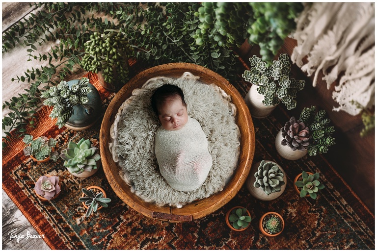 Jacksonville Newborn Photography by Tonya Beaver Photography
