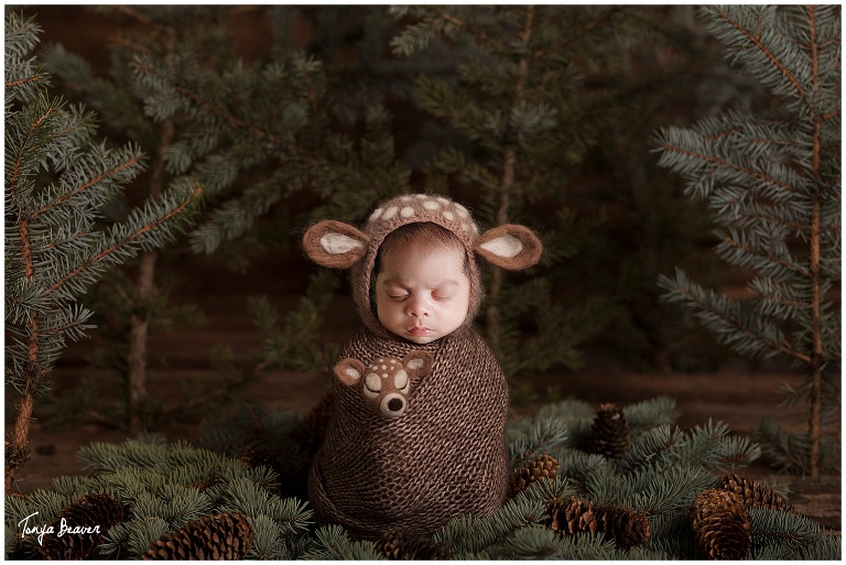 Jacksonville Newborn Photography by Tonya Beaver Photography