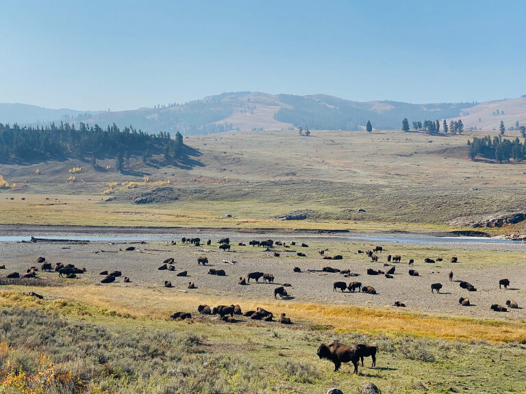 TRAVEL PHOTOS BY TONYA BEAVER PHOTOGRAPHY