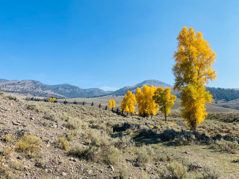 TRAVEL PHOTOS BY TONYA BEAVER PHOTOGRAPHY