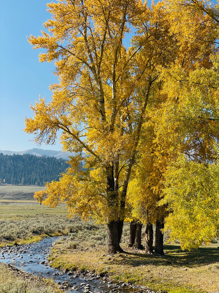 TRAVEL PHOTOS BY TONYA BEAVER PHOTOGRAPHY