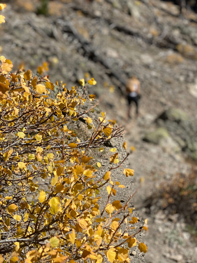 TRAVEL PHOTOS BY TONYA BEAVER PHOTOGRAPHY