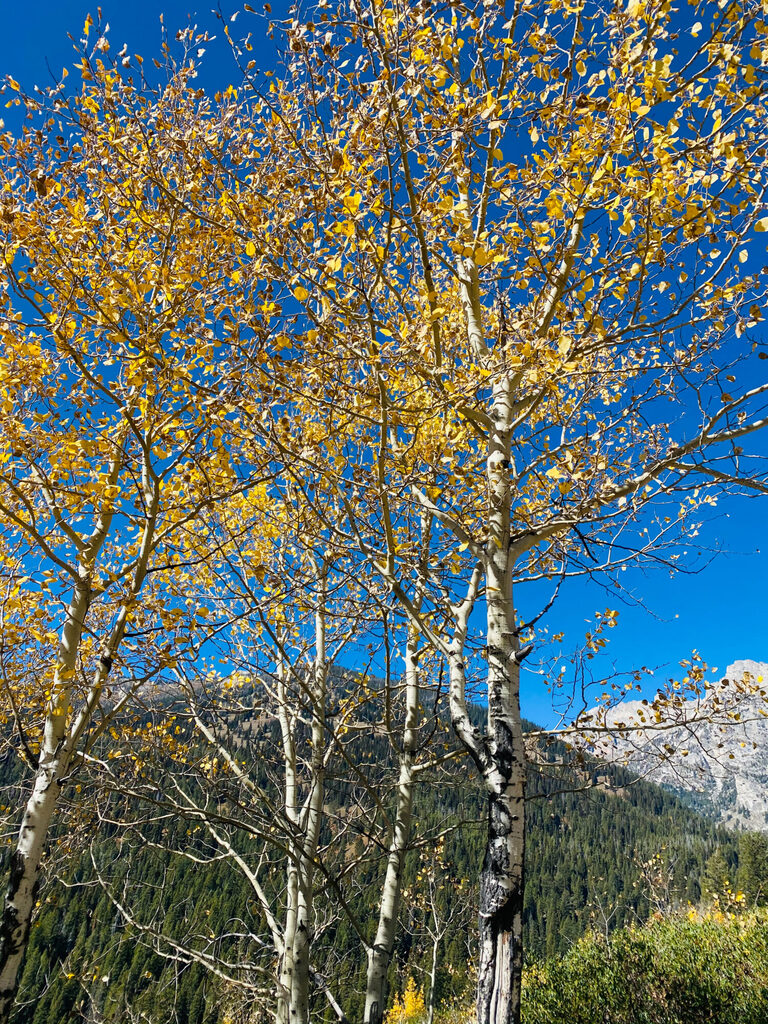 TRAVEL PHOTOS BY TONYA BEAVER PHOTOGRAPHY