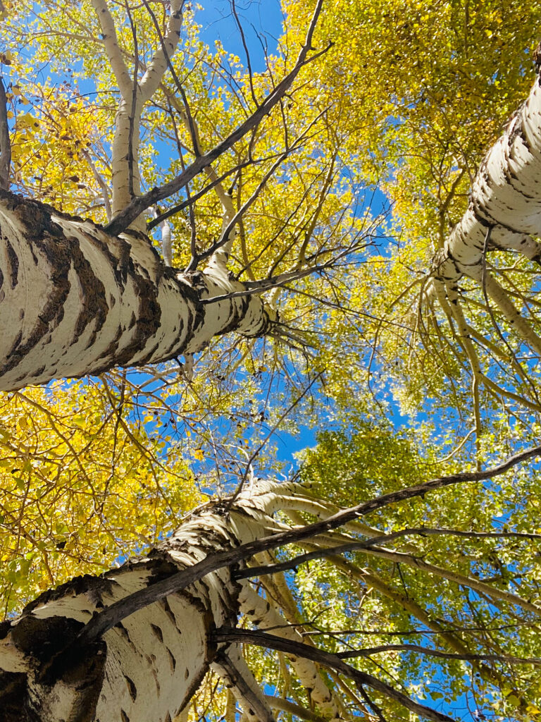 TRAVEL PHOTOS BY TONYA BEAVER PHOTOGRAPHY
