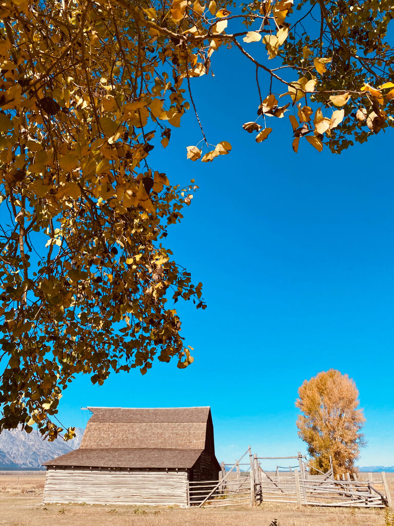 TRAVEL PHOTOS BY TONYA BEAVER PHOTOGRAPHY