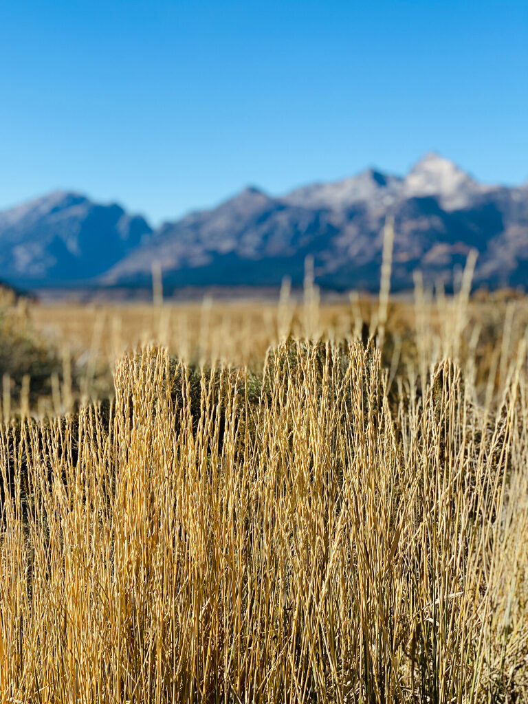 TRAVEL PHOTOS BY TONYA BEAVER PHOTOGRAPHY