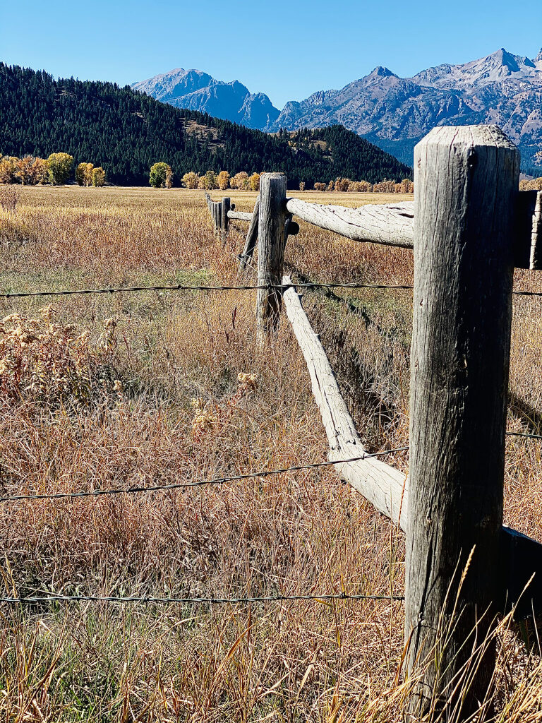 TRAVEL PHOTOS BY TONYA BEAVER PHOTOGRAPHY