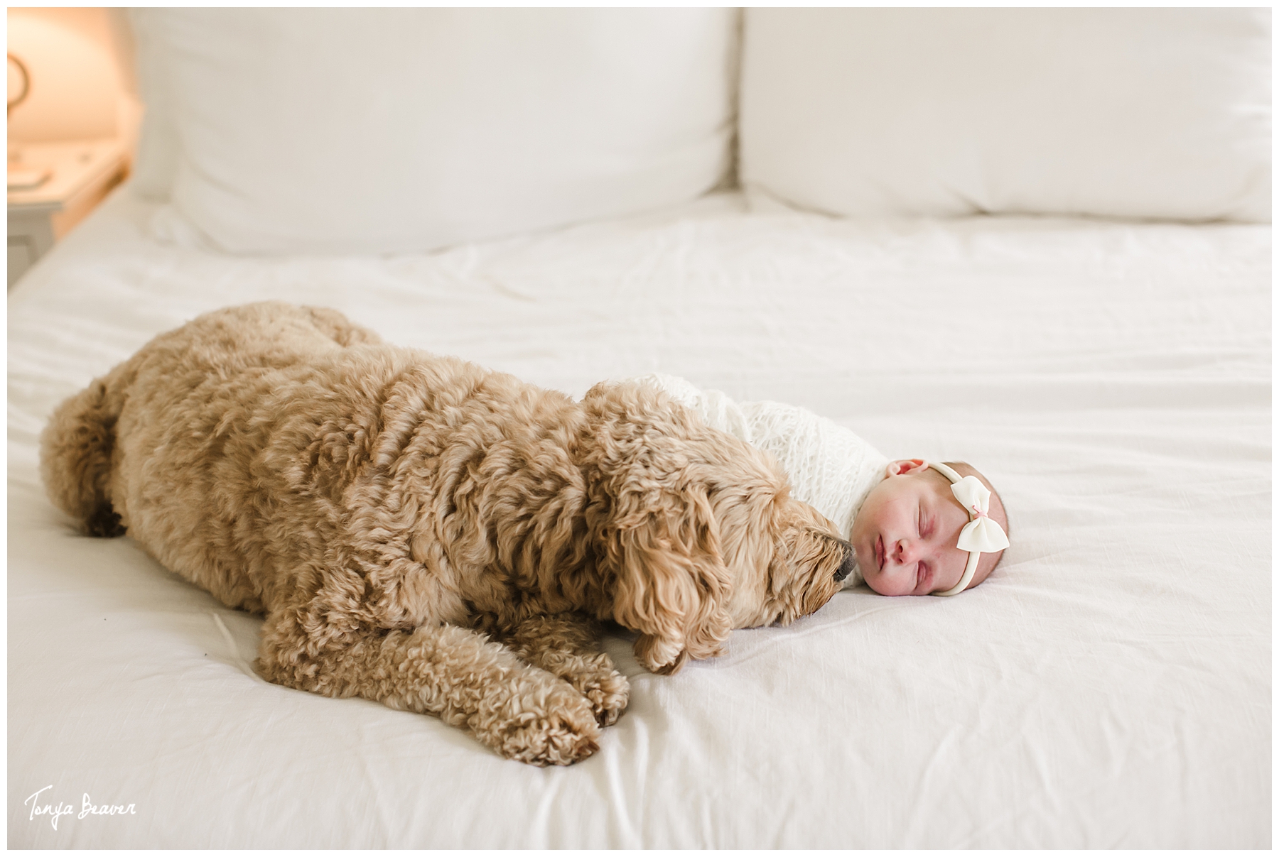 JACKSONVILLE LIFESTYLE NEWBORN PHOTOGRAPHER; JACKSONVILLE LIFESTYLE NEWBORN PHOTOGRAPHY; JACKSONVILLE LIFESTYLE NEWBORN PHOTOS; JACKSONVILLE LIFESTYLE NEWBORN PICTURES; TONYA BEAVER PHOTOGRAPHY; LIFESTYLE NEWBORN PHOTOGRAPHER; LIFESTYLE NEWBORN PHOTOGRAPHY; LIFESTYLE NEWBORN PHOTOS; LIFESTYLE NEWBORN PICTURES; AT HOME WITH A NEWBORN PHOTOS; 