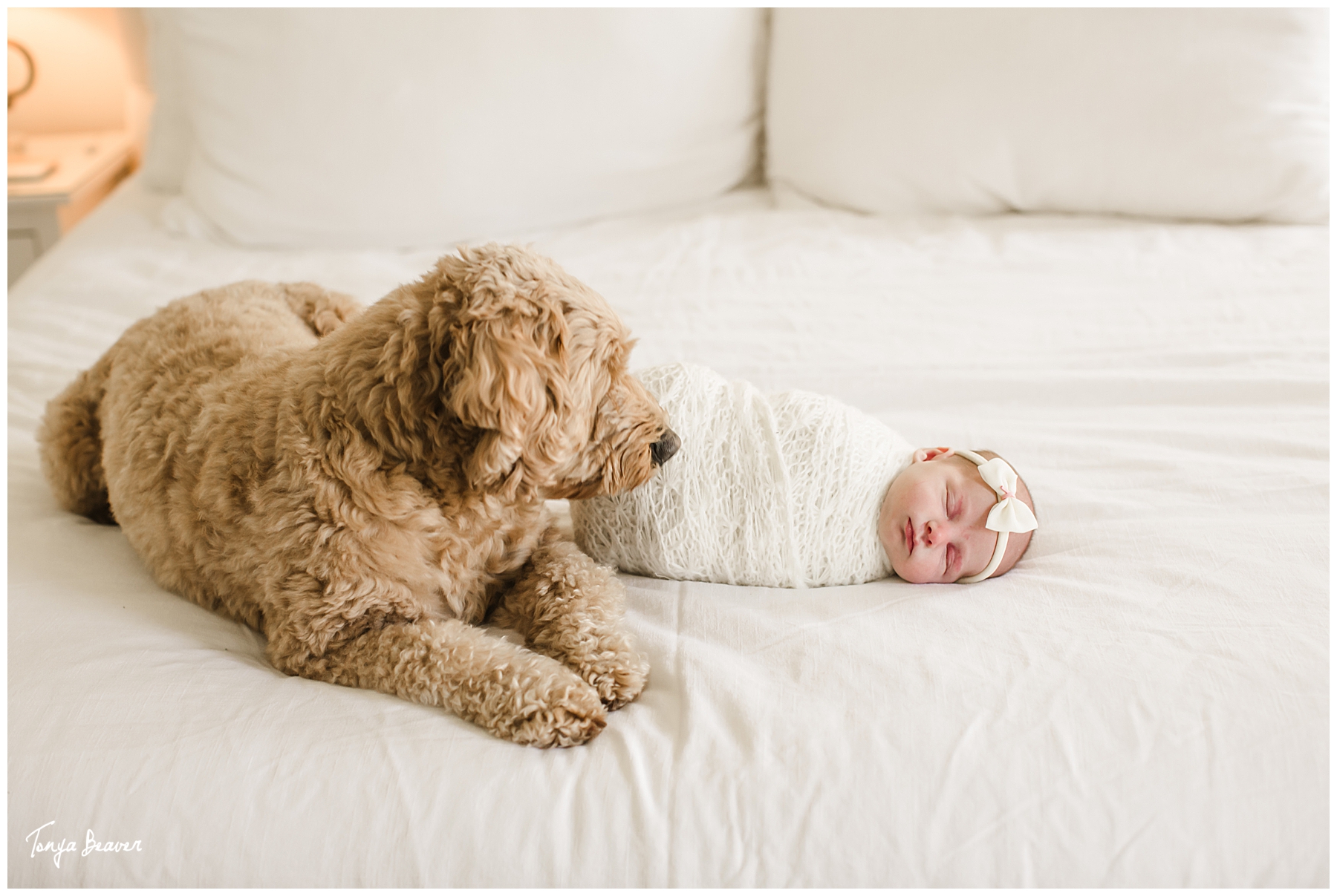 JACKSONVILLE LIFESTYLE NEWBORN PHOTOGRAPHER; JACKSONVILLE LIFESTYLE NEWBORN PHOTOGRAPHY; JACKSONVILLE LIFESTYLE NEWBORN PHOTOS; JACKSONVILLE LIFESTYLE NEWBORN PICTURES; TONYA BEAVER PHOTOGRAPHY; LIFESTYLE NEWBORN PHOTOGRAPHER; LIFESTYLE NEWBORN PHOTOGRAPHY; LIFESTYLE NEWBORN PHOTOS; LIFESTYLE NEWBORN PICTURES; AT HOME WITH A NEWBORN PHOTOS; 