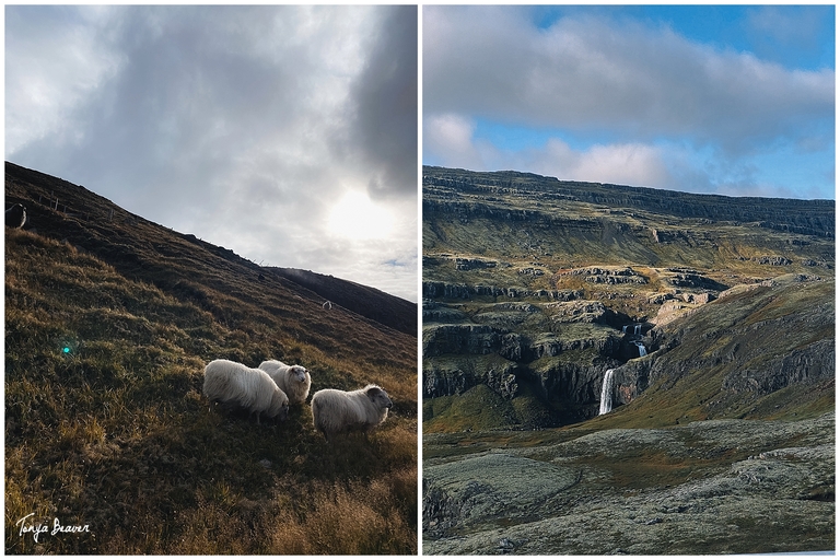 Grjótagjá; Námafjall Hverir Viewpoint; Krafla Lava Fields; Stuðlagil Canyon; Hengifoss; Breiðamerkursandur, Fjallsjökull; Múlagljúfur Canyon; Grófarlækjarfoss; Svínafellsjökull Glacier; Haoldukvisl glacier; Fjaðrárgljúfur; Fjaðrárgljúfur Canyon; Travel Photographer; Travel Photography; Travel Photos; Travel Pictures; Iceland Travel Photographer; Iceland Travel Photography; Iceland Travel Photos; Iceland Travel Pictures;