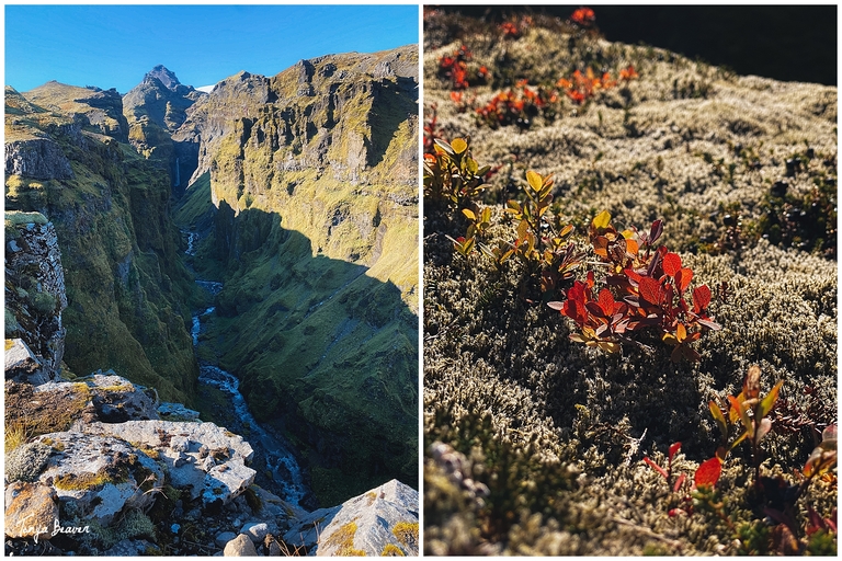 Grjótagjá; Námafjall Hverir Viewpoint; Krafla Lava Fields; Stuðlagil Canyon; Hengifoss; Breiðamerkursandur, Fjallsjökull; Múlagljúfur Canyon; Grófarlækjarfoss; Svínafellsjökull Glacier; Haoldukvisl glacier; Fjaðrárgljúfur; Fjaðrárgljúfur Canyon; Travel Photographer; Travel Photography; Travel Photos; Travel Pictures; Iceland Travel Photographer; Iceland Travel Photography; Iceland Travel Photos; Iceland Travel Pictures;