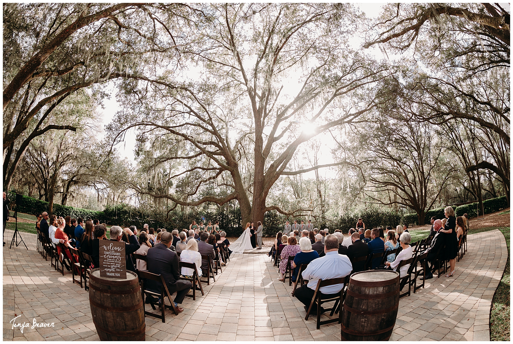 BOWING OAKS; BOWING OAKS WEDDING PHOTOS; JACKSONVILLE FLORIDA WEDDING PHOTOS; BOWING OAKS WEDDING PICTURES; JACKSONVILLE FLORIDA WEDDING PICTURES; BOWING OAKS WEDDING PHOTOGRAPHY; JACKSONVILLE FLORIDA WEDDING PHOTOGRAPHY; BOWING OAKS WEDDING PHOTOGRAPHER; JACKSONVILLE FLORIDA WEDDING PHOTOGRAPHER; TONYA BEAVER PHOTOGRAPHY; jacksonville photographers; photographer jacksonville fl; 
photographers in jacksonville fl; jacksonville wedding photographer; boho wedding; Green wedding ideas;