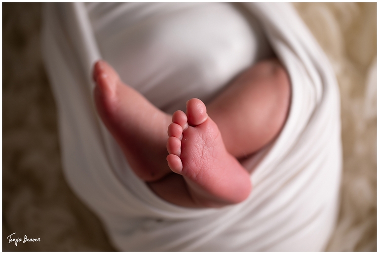 JACKSONVILLE NEWBORN PHOTOGRAPHY BY TONYA BEAVER PHOTOGRAPHY