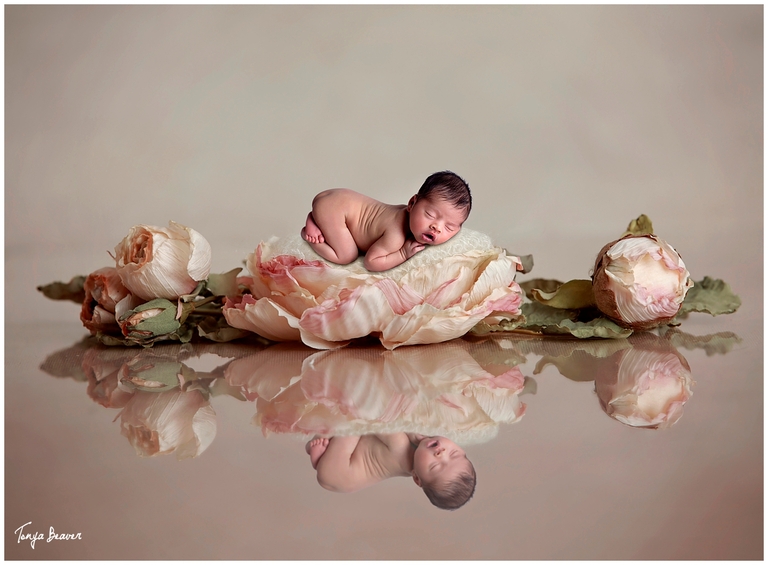 JACKSONVILLE NEWBORN PHOTOGRAPHY BY TONYA BEAVER PHOTOGRAPHY