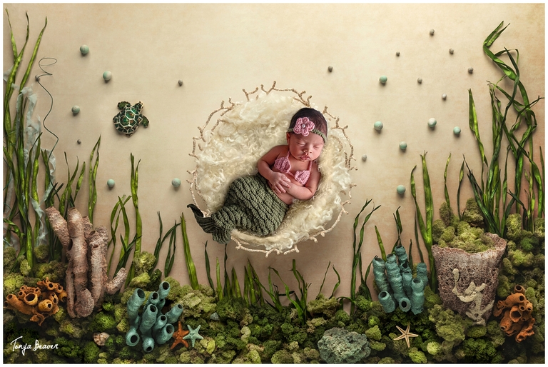 JACKSONVILLE NEWBORN PHOTOGRAPHY BY TONYA BEAVER PHOTOGRAPHY