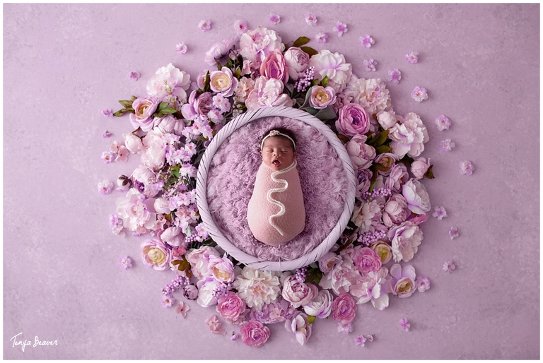 JACKSONVILLE NEWBORN PHOTOGRAPHY BY TONYA BEAVER PHOTOGRAPHY
