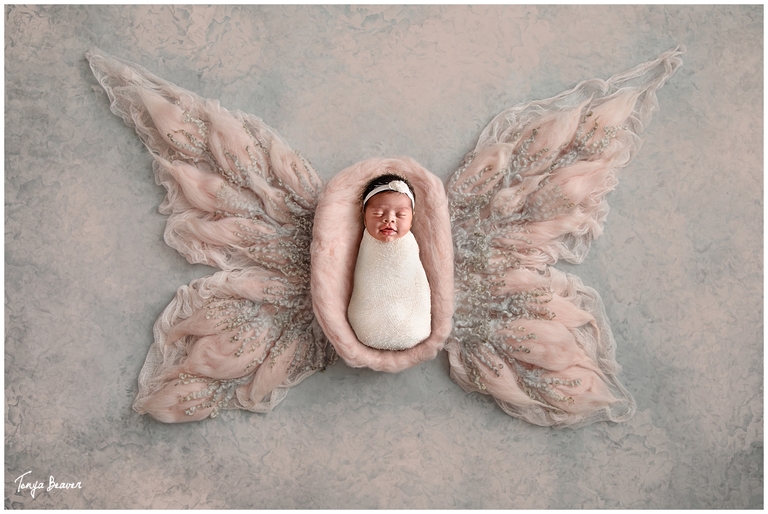JACKSONVILLE NEWBORN PHOTOGRAPHY BY TONYA BEAVER PHOTOGRAPHY