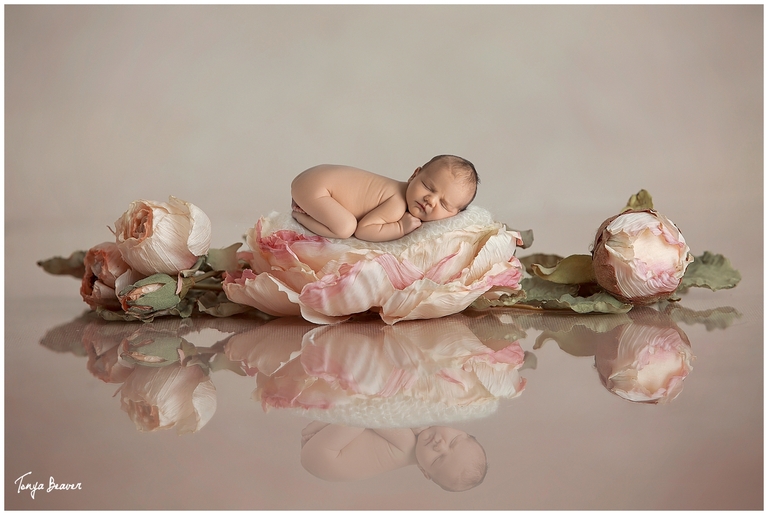 Jacksonville Newborn Photography by Tonya Beaver Photography