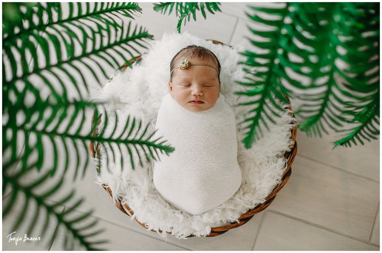 Jacksonville Lifestyle Newborn Photography; Jacksonville Lifestyle Newborn Photos; Jacksonville Lifestyle Newborn Pictures; Jacksonville Lifestyle Newborn Photographer; Lifestyle Newborn Photography; LIFESTYLE NEWBORN PHOTOS; Lifestyle Newborn Photographer; Lifestyle Newborn Pictures; photographer Jacksonville fl; Jacksonville photographers; newborn baby photography; Newborn photos; newborn Photoshoot; baby photography; baby photos; Tonya Beaver Photography;  neutral newborn photos; neutral newborn pictures; neutral newborn photography; neutral newborn photographer; ROSES AND NEWBORN; PINK NEWBORN; PLANTS AND NEWBORN;