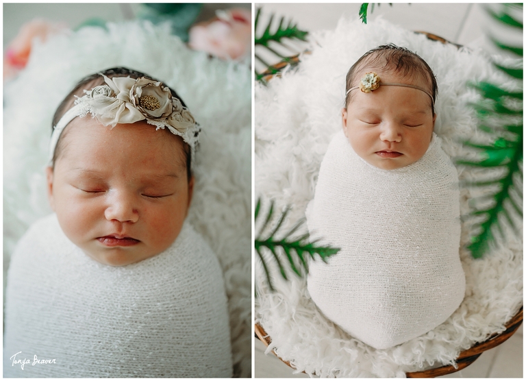 Jacksonville Lifestyle Newborn Photography; Jacksonville Lifestyle Newborn Photos; Jacksonville Lifestyle Newborn Pictures; Jacksonville Lifestyle Newborn Photographer; Lifestyle Newborn Photography; LIFESTYLE NEWBORN PHOTOS; Lifestyle Newborn Photographer; Lifestyle Newborn Pictures; photographer Jacksonville fl; Jacksonville photographers; newborn baby photography; Newborn photos; newborn Photoshoot; baby photography; baby photos; Tonya Beaver Photography;  neutral newborn photos; neutral newborn pictures; neutral newborn photography; neutral newborn photographer; ROSES AND NEWBORN; PINK NEWBORN; PLANTS AND NEWBORN;